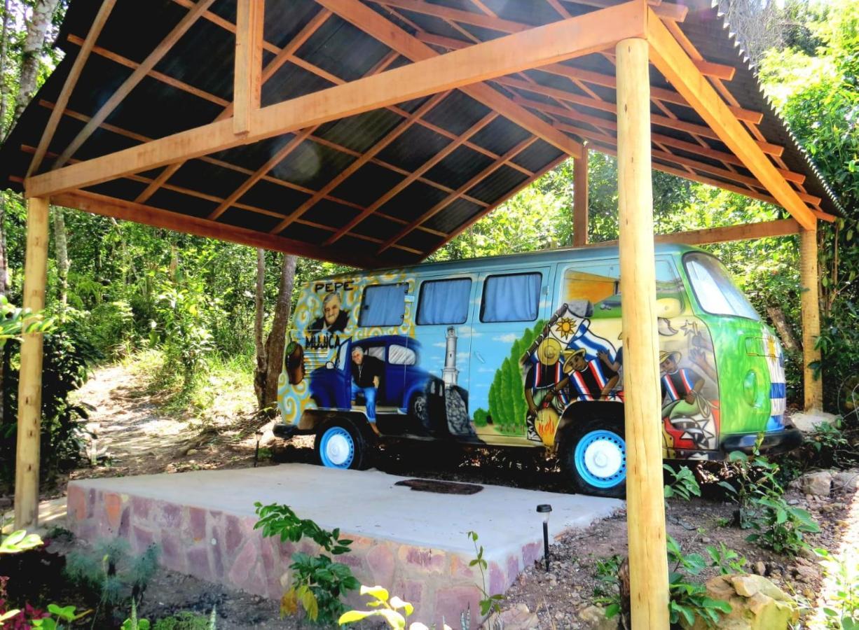 Kombi Albergue